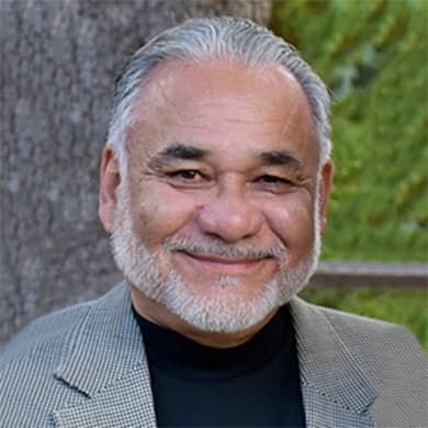 Ricardo Gomez image